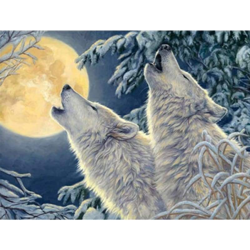 Animal Wolf Diy Paint By Numbers Kits VM91751 - NEEDLEWORK KITS
