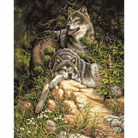Animal Wolf Diy Paint By Numbers Kits ZXB393 - NEEDLEWORK KITS