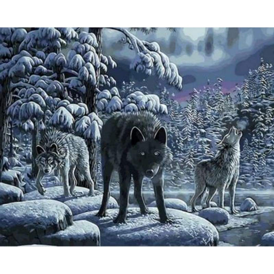 Animal Wolf Diy Paint By Numbers Kits ZXQ369 - NEEDLEWORK KITS