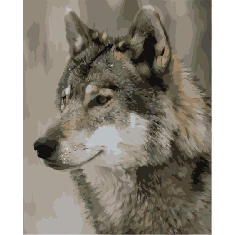 Animal Wolf Paint By Numbers Kits VM90740 - NEEDLEWORK KITS