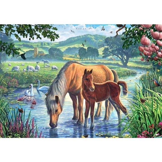 Animals Horse Paint By Numbers Kits VM90657 - NEEDLEWORK KITS