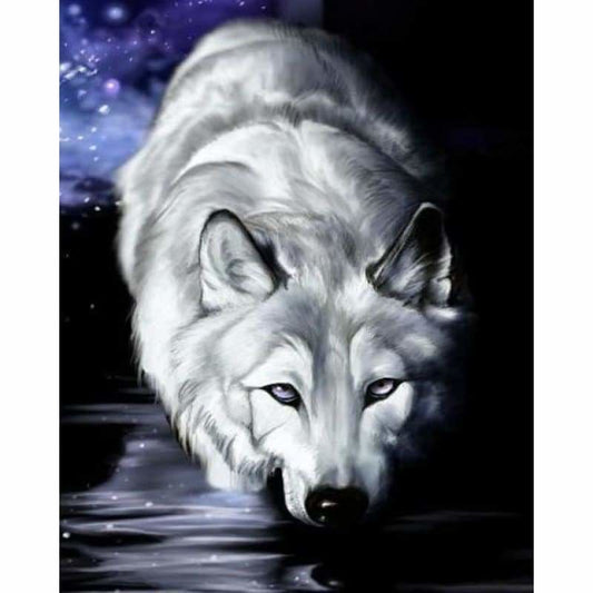 Animals Wolf Paint By Numbers Kits VM90654 - NEEDLEWORK KITS