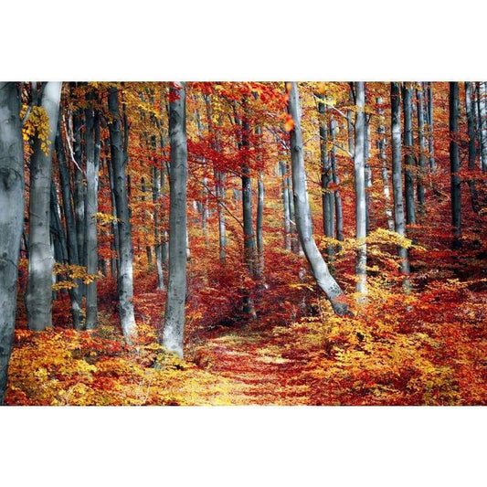 Autumn Forrest   - Full Drill Diamond Painting - NEEDLEWORK KITS