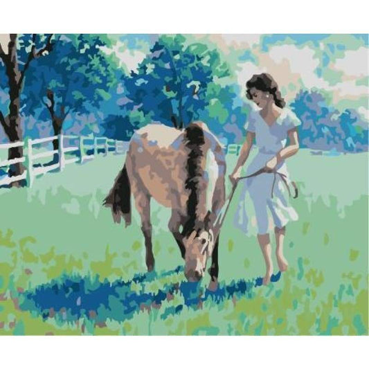 Beauty And Horse Diy Paint By Numbers Kits WM-585 - NEEDLEWORK KITS