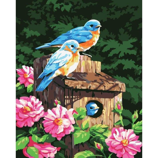Bird Diy Paint By Numbers Kits PBN92274 - NEEDLEWORK KITS