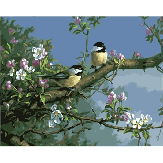 Bird Diy Paint By Numbers Kits WM-1060 - NEEDLEWORK KITS