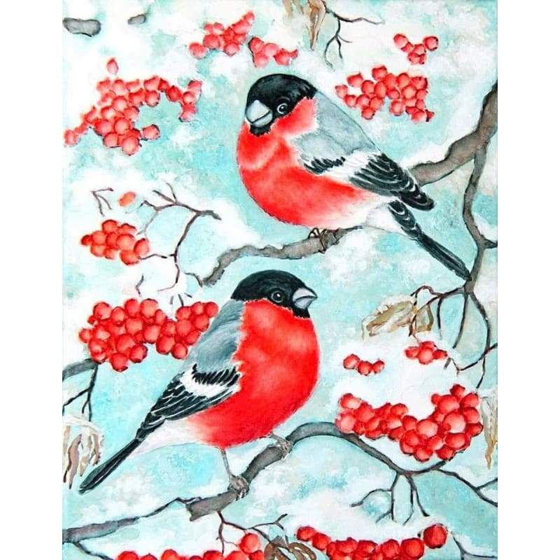 Bird Diy Paint By Numbers PBN90404 - NEEDLEWORK KITS