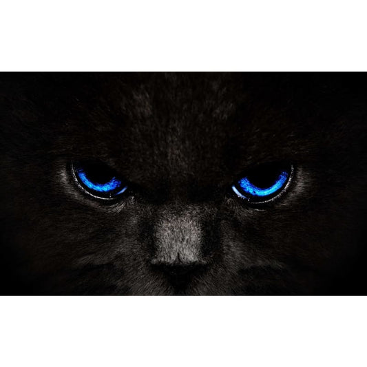 Black Cat Eyes (Blue) - Full Drill Diamond Painting -