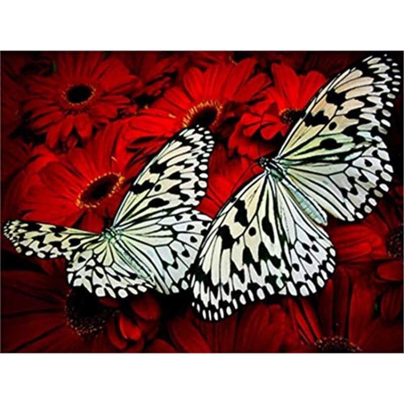 Butterfly Diy Paint by Numbers Kits DIY PBN96419 - NEEDLEWORK KITS