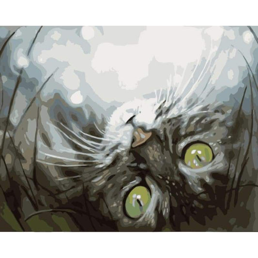 Cat Diy Paint By Numbers Kits WM-411 - NEEDLEWORK KITS