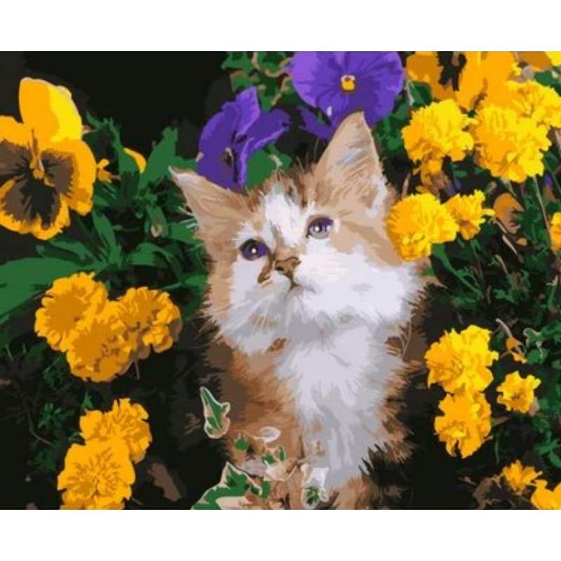 Cat Diy Paint By Numbers Kits ZXAN1797 - NEEDLEWORK KITS