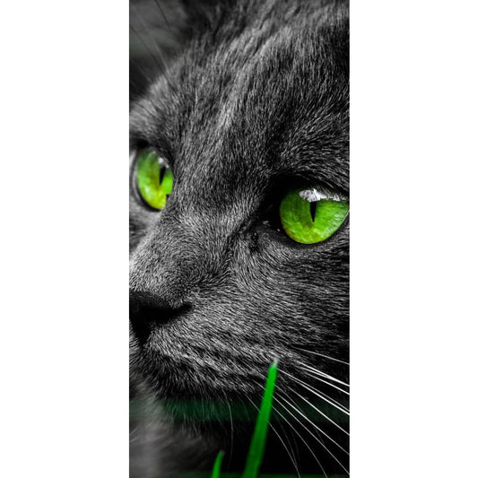 Cat With Green Eyes- Full Drill Diamond Painting - Special