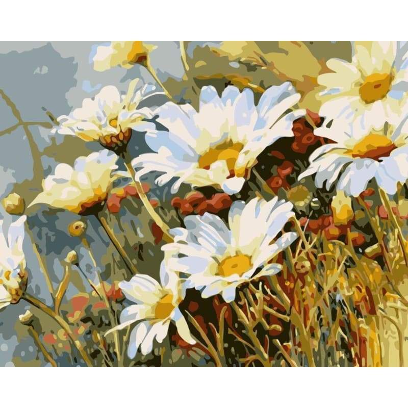 Chrysanthemum Diy Paint By Numbers Kits WM-1027 - NEEDLEWORK KITS