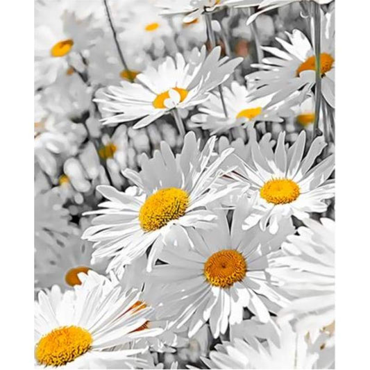 Chrysanthemum Diy Paint By Numbers Kits ZXQ3848 - NEEDLEWORK KITS