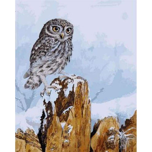 Color Animal Owl Diy Paint By Numbers Kits ZXB65 - NEEDLEWORK KITS