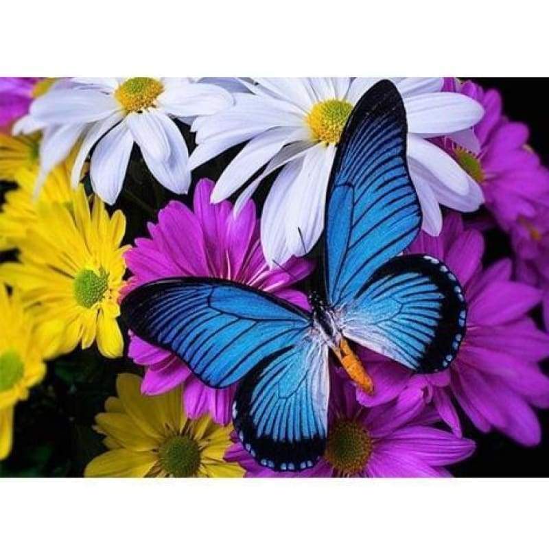 Colorful Butterfly Diy Paint By Numbers Kits PBN97920 - NEEDLEWORK KITS