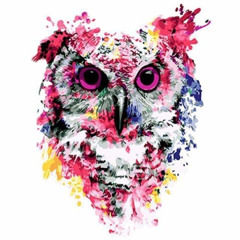 Colorful Owl Diy Paint By Numbers Kits VM91205 - NEEDLEWORK KITS