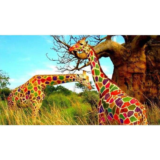 Colourful Giraffes - Full Drill Diamond Painting - Special 