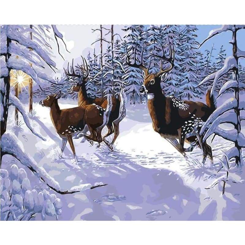 Deer Diy Paint By Numbers Kits PBN95726 - NEEDLEWORK KITS