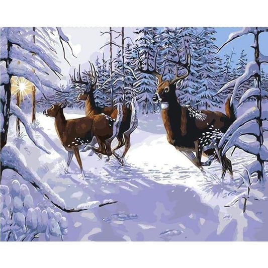 Deer Diy Paint By Numbers Kits PBN95726 - NEEDLEWORK KITS
