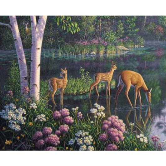 Diy Paint By Numbers Kits ZXQ2868 - NEEDLEWORK KITS