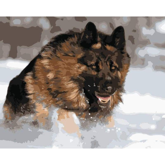 Dog Diy Paint By Numbers Kits WM-1440 - NEEDLEWORK KITS