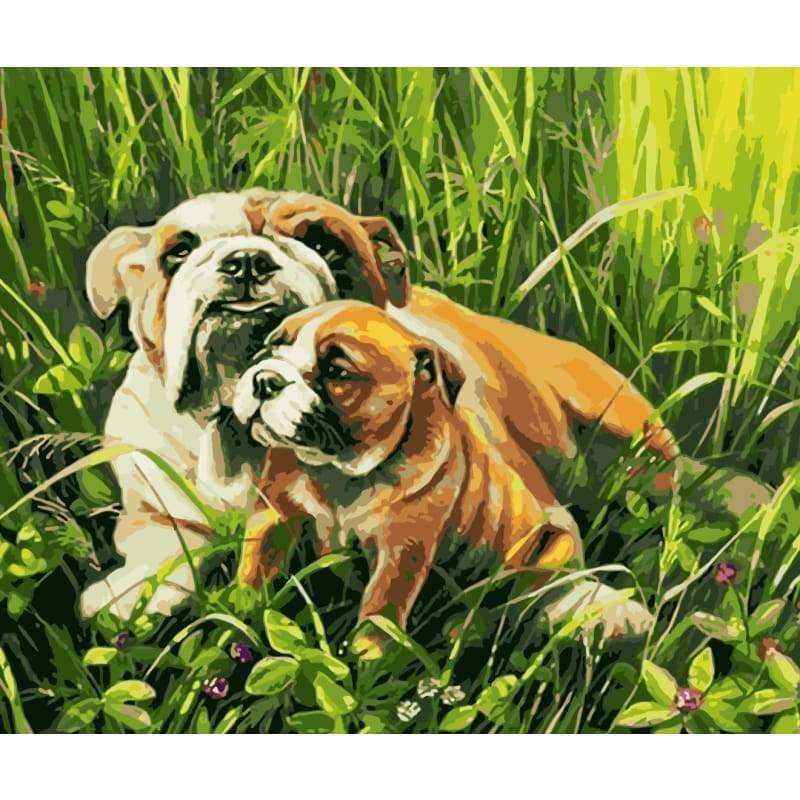 Dog Diy Paint By Numbers Kits WM-413 - NEEDLEWORK KITS