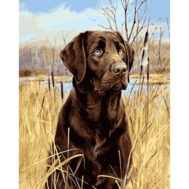 Dog Diy Paint By Numbers Kits WM-775 - NEEDLEWORK KITS