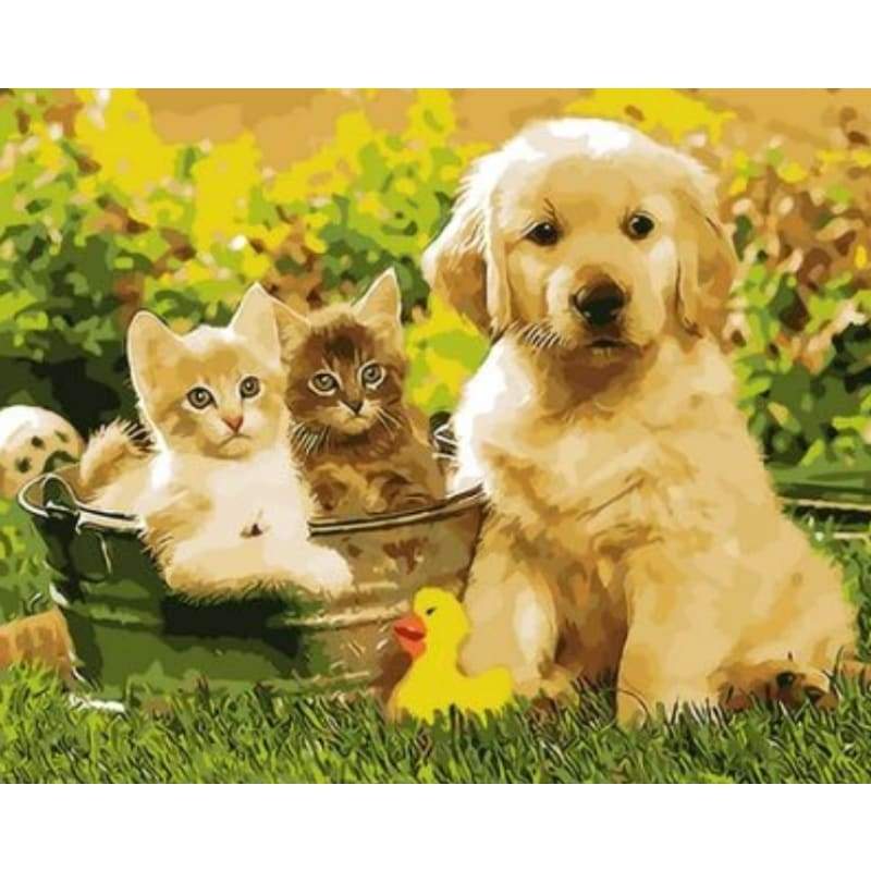 Dog Diy Paint By Numbers Kits ZXQ1522 - NEEDLEWORK KITS
