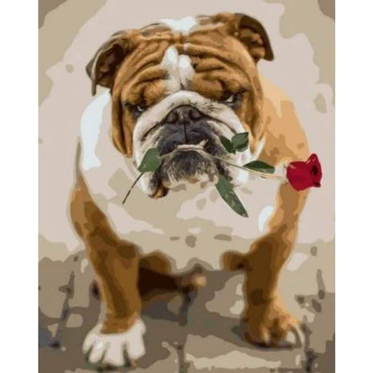 Dog Diy Paint By Numbers Kits ZXQ1785 - NEEDLEWORK KITS