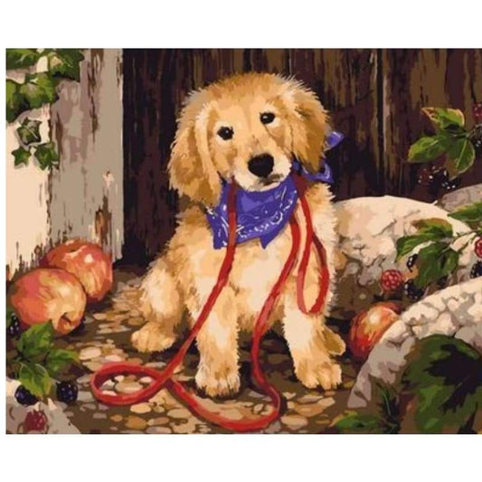 Dog Diy Paint By Numbers Kits ZXQ2496 - NEEDLEWORK KITS