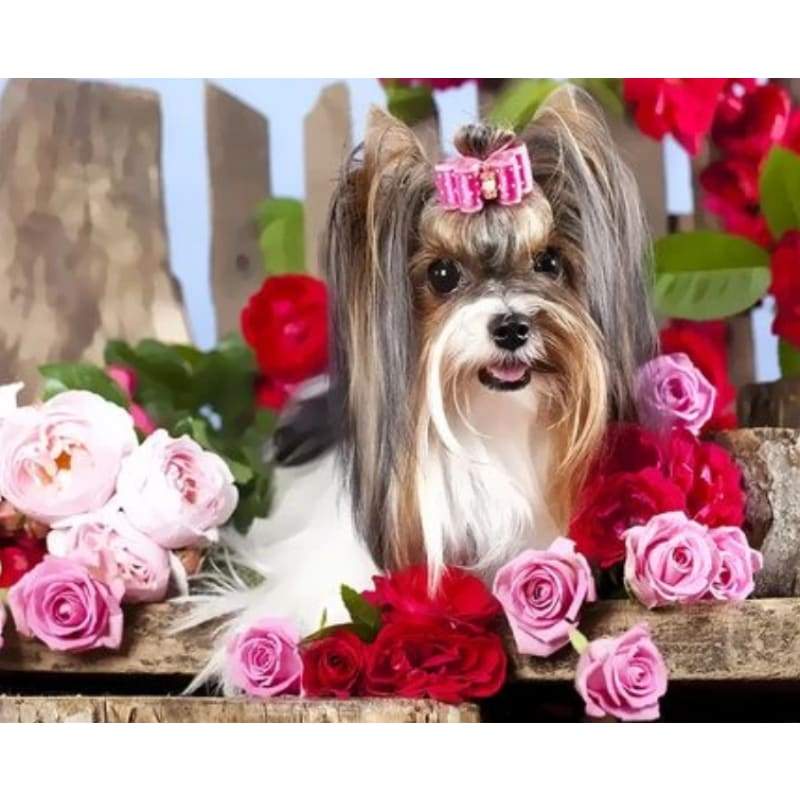 Dog Diy Paint By Numbers Kits ZXQ3342 - NEEDLEWORK KITS