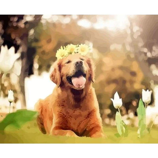 Dog Diy Paint By Numbers Kits ZXQ3537 - NEEDLEWORK KITS