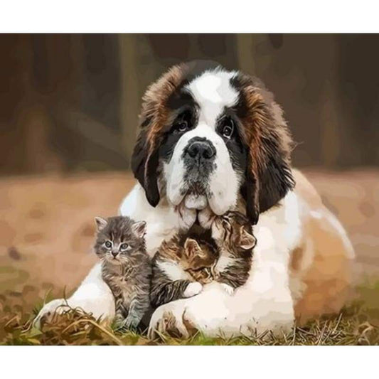 Dog Diy Paint By Numbers Kits ZXQ3663 - NEEDLEWORK KITS