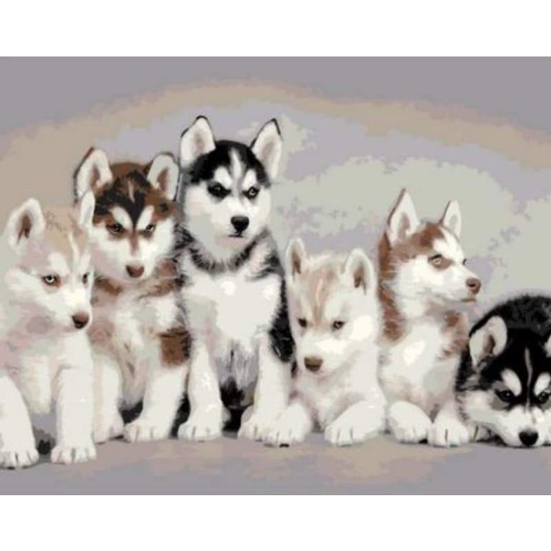 Dog Diy Paint By Numbers Kits ZXQ811 - NEEDLEWORK KITS