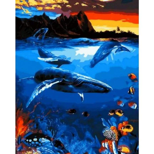 Dolphin Diy Paint By Numbers Kits ZXQ870 - NEEDLEWORK KITS