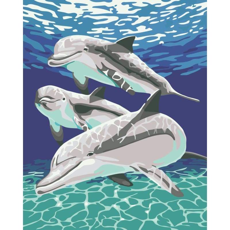 Dream Dolphin Diy Paint By Numbers Kits WM-520 - NEEDLEWORK KITS