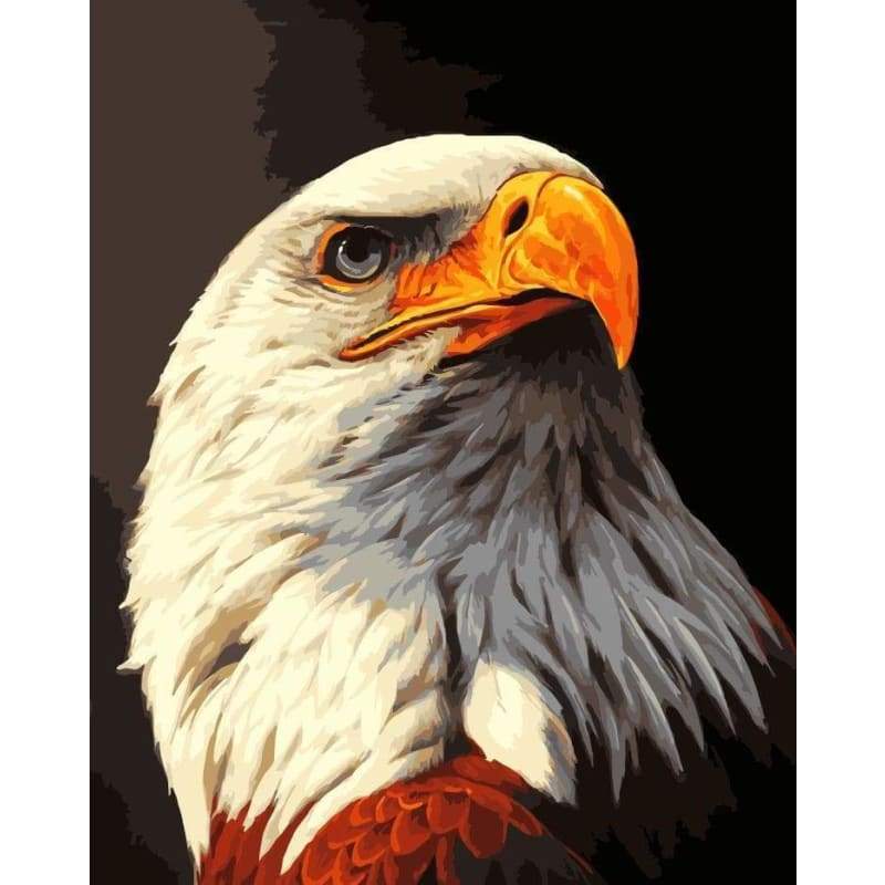 Eagle Diy Paint By Numbers Kits WM-063 - NEEDLEWORK KITS