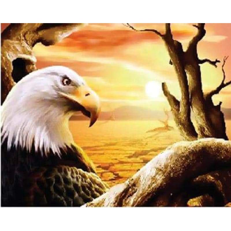 Eagle Diy Paint By Numbers Kits ZXB966 - NEEDLEWORK KITS