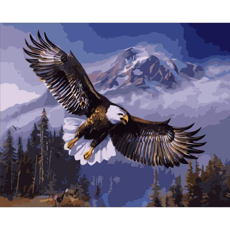 Eagle Diy Paint By Numbers Kits ZXE519 - NEEDLEWORK KITS