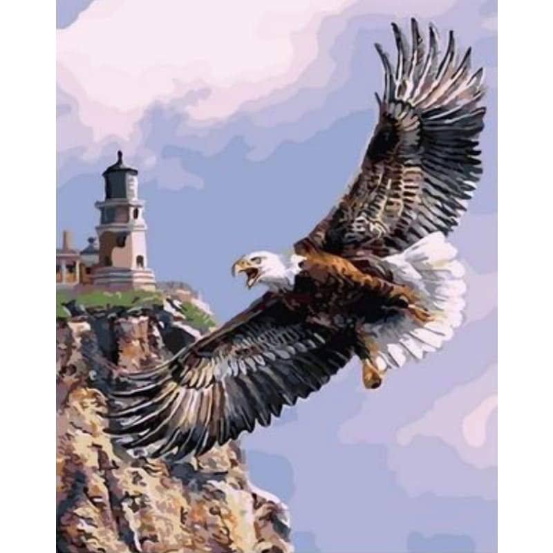 Eagle Diy Paint By Numbers Kits ZXQ2468 - NEEDLEWORK KITS