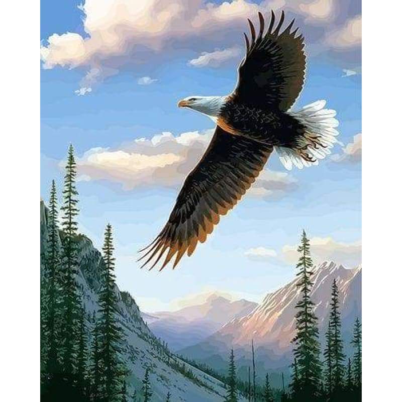 Eagle Diy Paint By Numbers Kits ZXQ3915 - NEEDLEWORK KITS