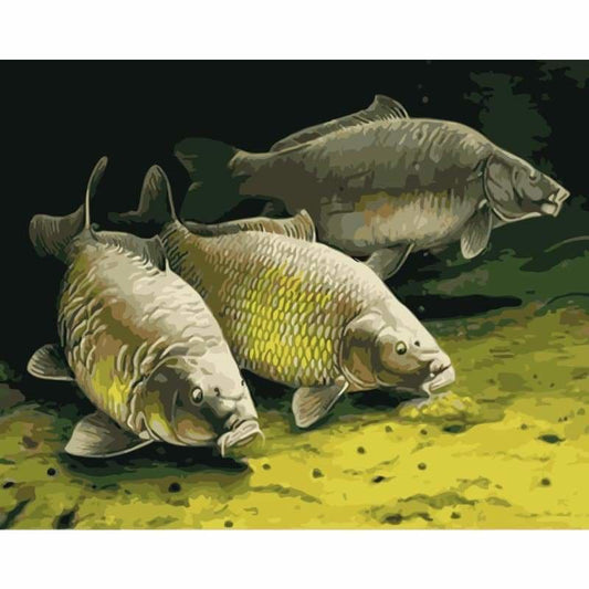 Fish Diy Paint By Numbers Kits WM-1091 - NEEDLEWORK KITS