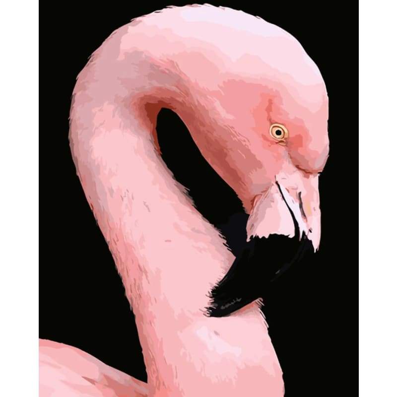 Flamingo Diy Paint By Numbers Kits PBN92419 - NEEDLEWORK KITS