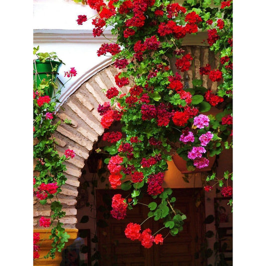 Flower Diy Paint By Numbers Kits PBN95678 - 2