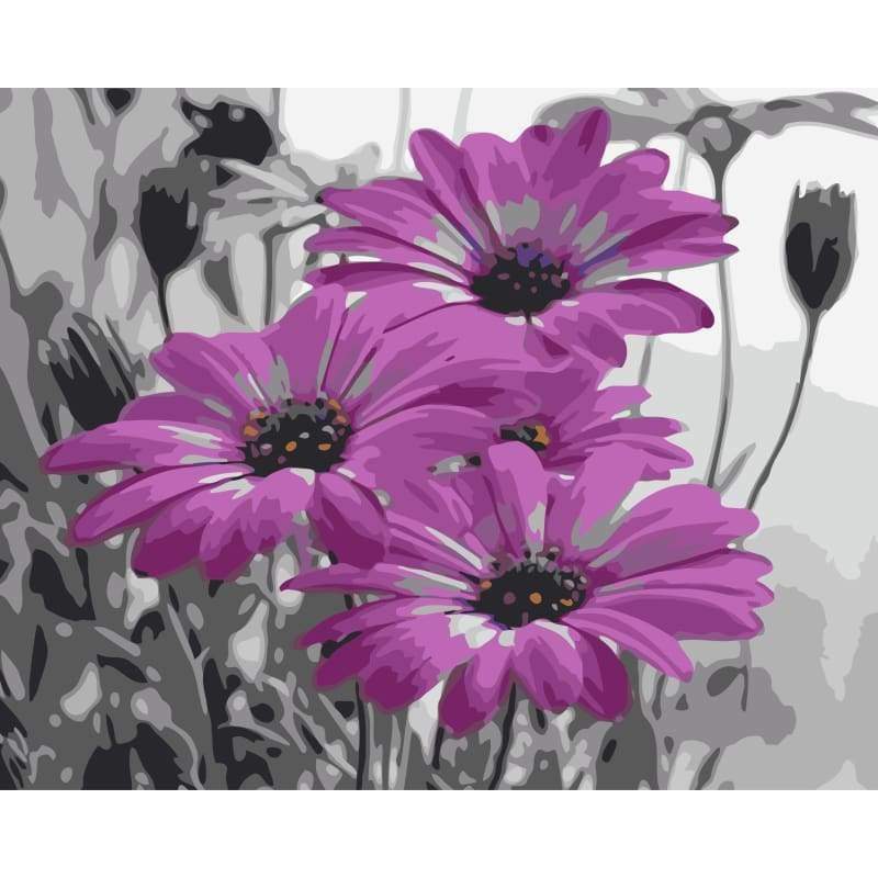 Flower Diy Paint By Numbers Kits WM-141 - NEEDLEWORK KITS