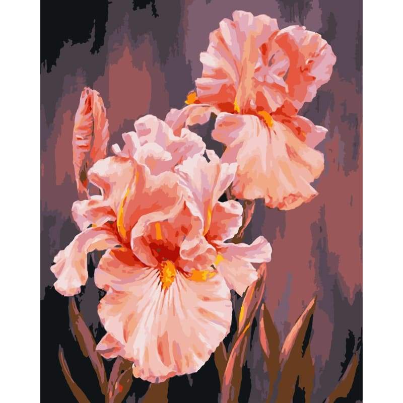 Flower Diy Paint By Numbers Kits WM-177 - NEEDLEWORK KITS