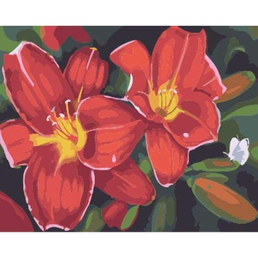 Flower Diy Paint By Numbers Kits ZXB640 - NEEDLEWORK KITS