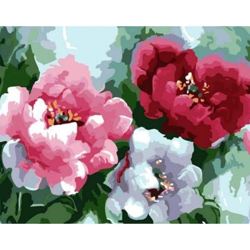 Flower Diy Paint By Numbers Kits ZXQ2291 - NEEDLEWORK KITS
