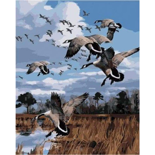 Flying Animal Bird Diy Paint By Numbers Kits ZXB890 - NEEDLEWORK KITS